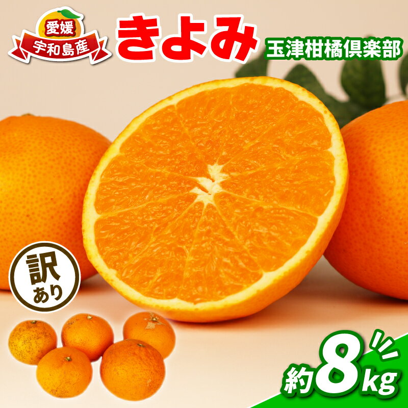 訳アリみかん 訳あり 清見 きよみ 8kg 玉津柑橘倶楽部 先行予約 みかん タンゴール 清見タンゴール 清見オレンジ 甘い 果物 くだもの フルーツ 柑橘 mikan 蜜柑 愛媛蜜柑 愛媛みかん 愛媛ミカン ミカン わけあり 数量限定 国産 愛媛 宇和島 B010-072033