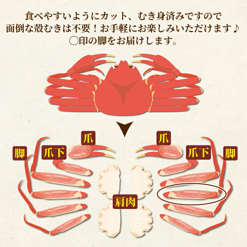 【ふるさと納税】 ずわいがに 蟹 カニ 棒 ポーション 20〜90本 総重量 約500g~1.5kg 選べる 内容量 本ズワイガニ ニューバーク kani むき身 ずわい蟹 ズワイガニ ズワイ蟹 カニ脚 カニ鍋 かにしゃぶ 冷凍 人気 お取り寄せ 鍋 刺身 お刺身 愛媛 宇和島 サムネイル2