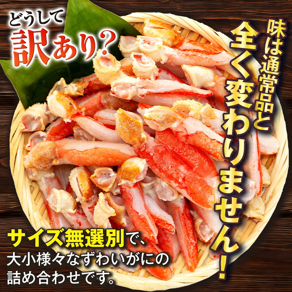 【ふるさと納税】 訳あり カニ 蟹 ズワイガニ 爪下 棒 むき身 約1~3kg 生本ずわいがに 選べる 内容量 本ズワイガニ ニューバーク kani 冷凍 わけあり 訳あり品 ずわいがに 訳アリ ずわい蟹 ズワイ蟹 ずわいがに 生蟹 ポーション 鍋 カニ鍋 人気のカニ 送料無料 サムネイル2