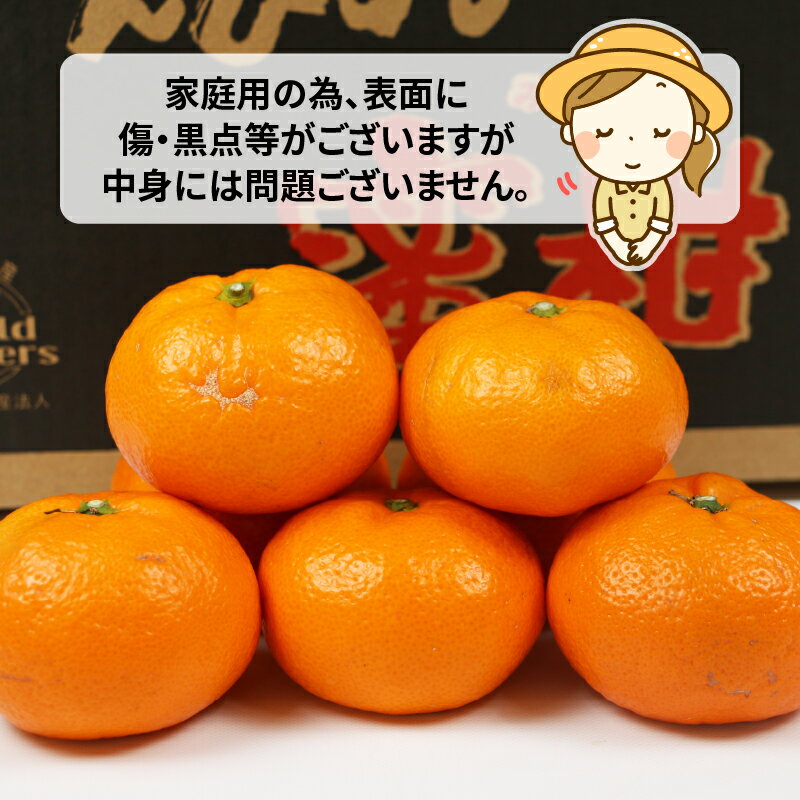【ふるさと納税】 【先行予約】 みかん 蜜柑 10kg 愛媛みかん 南柑20号 甘い 美味しい ワールドファーマーズ 温州 みかん うんしゅう 温州みかん 愛媛ミカン 愛媛蜜柑 mikan 果物 くだもの フルーツ 柑橘 数量限定 国産 愛媛 宇和島 【2026年12月発送】 B015-024002 - 画像2