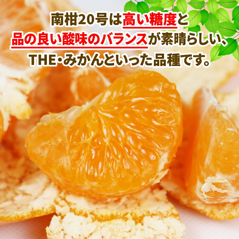 【ふるさと納税】 【先行予約】 みかん 蜜柑 10kg 愛媛みかん 南柑20号 甘い 美味しい ワールドファーマーズ 温州 みかん うんしゅう 温州みかん 愛媛ミカン 愛媛蜜柑 mikan 果物 くだもの フルーツ 柑橘 数量限定 国産 愛媛 宇和島 【2026年12月発送】 B015-024002 - 画像3