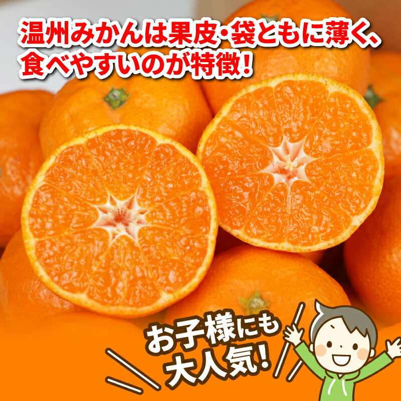 【ふるさと納税】 米 セット みかん 3kg 特別栽培米 コシヒカリ 伊達米 3kg 詰め合わせ ワールドファーマーズ 温州みかん ミカン 蜜柑 mikan 愛媛みかん 愛媛蜜柑 柑橘 果物 くだもの フルーツ 柑橘 お米 こめ 農家直送 産地直送 数量限定 国産 愛媛 宇和島 B012-024003 サムネイル3