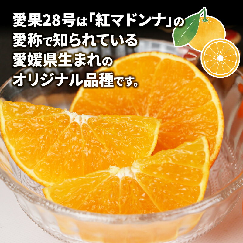 【ふるさと納税】 愛媛 みかん 愛果28号 4kg 高級柑橘 ワールドファーマーズ 先行予約 愛媛蜜柑 高級みかん 高級 ブランド 限定 品種 プルプル 甘い 愛媛みかん mikan 果物 くだもの フルーツ 柑橘 濃厚 甘味 蜜柑 愛媛県産 産地直送 数量限定 国産 宇和島 B015-024004 サムネイル3