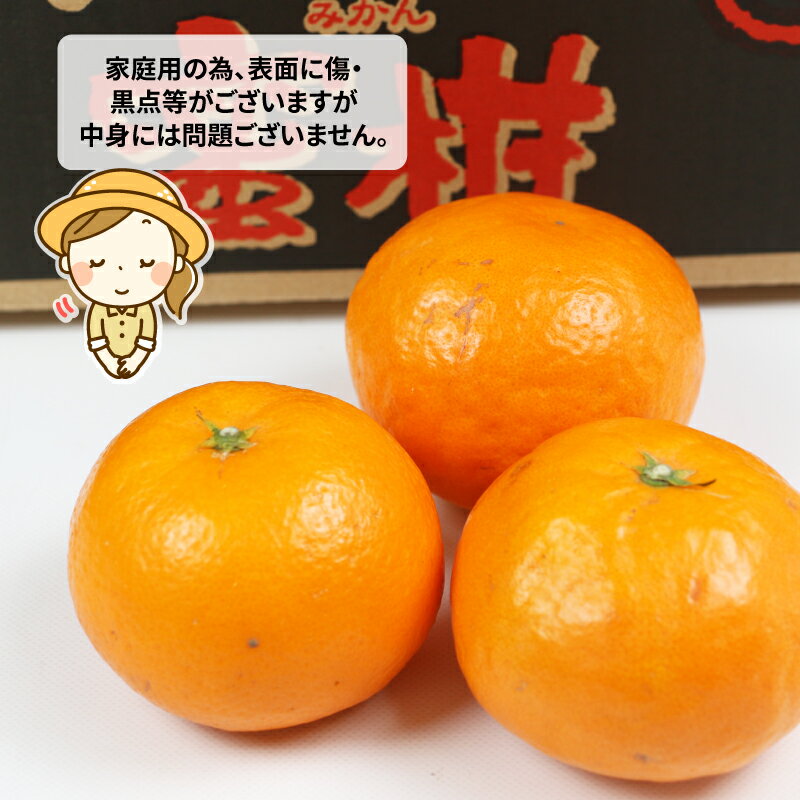 【ふるさと納税】 果物 みかん はれひめ 4kg ワールドファーマーズ 瀬戸の晴れ姫 晴姫 harehime 蜜柑 mikan 吉田みかん 愛媛みかん 愛媛ミカン 愛媛蜜柑 くだもの 柑橘 フルーツ 希少 品種 甘い プリプリ 数量限定 産地直送 農家直送 国産 愛媛 宇和島 B012-024005 サムネイル2