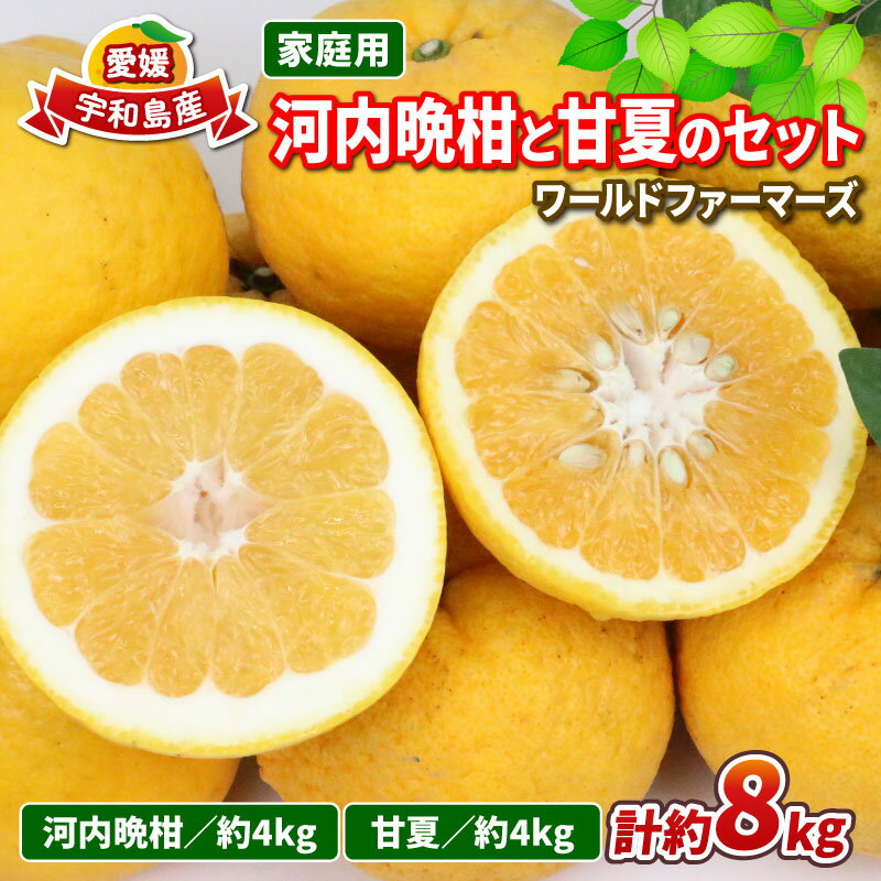 河内晩柑 4kg 甘夏 4kg 詰め合わせ セット ワールドファーマーズ 先行予約 雑柑 晩柑 かわちばんかん 和製 グレープフルーツ あまなつ 食べ比べ 果物 くだもの フルーツ 柑橘 みかん 蜜柑 mikan 数量限定 産地直送 農家直送 国産 愛媛 宇和島 B012-024009