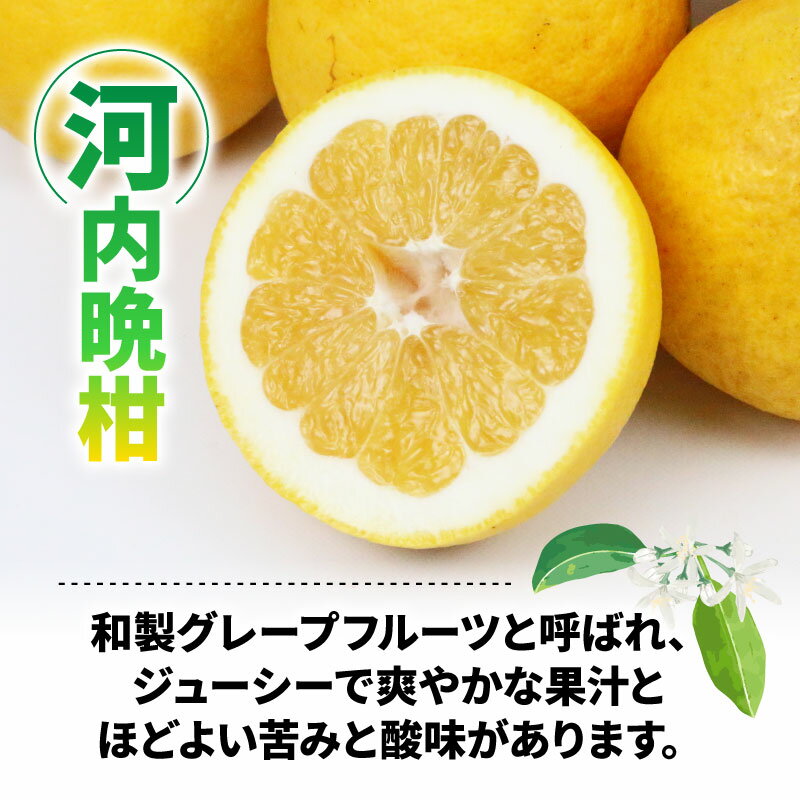 【ふるさと納税】 河内晩柑 4kg 甘夏 4kg 詰め合わせ セット ワールドファーマーズ 先行予約 雑柑 晩柑 かわちばんかん 和製 グレープフルーツ あまなつ 食べ比べ 果物 くだもの フルーツ 柑橘 みかん 蜜柑 mikan 数量限定 産地直送 農家直送 国産 愛媛 宇和島 B012-024009 サムネイル3