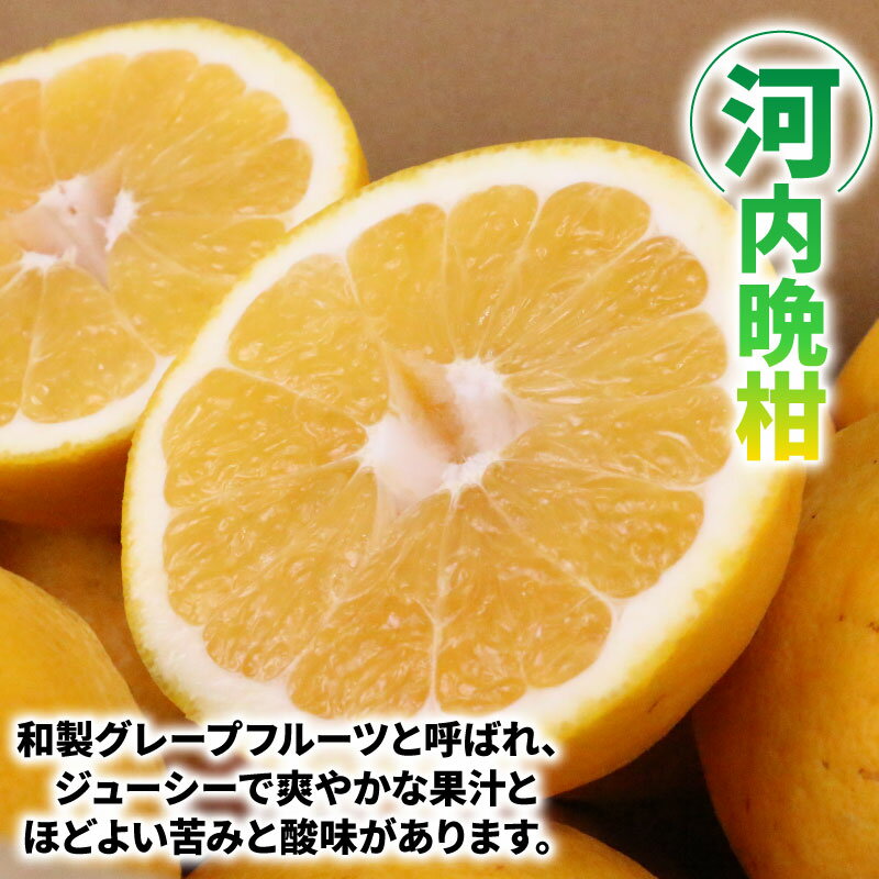 【ふるさと納税】 愛媛みかん 河内晩柑 7.5kg ワールドファーマーズ 先行予約 晩柑 かわちばんかん 和製 グレープフルーツ 愛媛ミカン 愛媛蜜柑 愛媛県産みかん 蜜柑 みかん mikan 爽やか 果物 くだもの フルーツ 柑橘 数量限定 産地直送 国産 愛媛 宇和島 B012-024010 サムネイル3