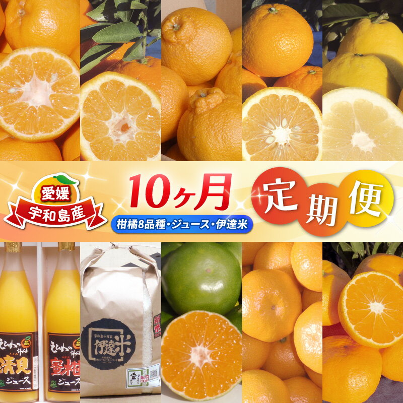 みかん定期便 柑橘定期便 10ヶ月 定期便 ワールドファーマーズ 10回定期便 ポンカン 伊予柑 不知火 甘夏 河内晩柑 ジュース 米 みかん 愛媛みかん 愛媛ミカン 蜜柑 mikan 温州みかん 農家直送 産地直送 数量限定 国産 愛媛 愛媛県産 宇和島 B100-024014