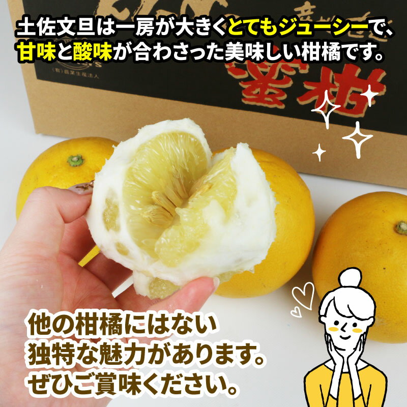 【ふるさと納税】 愛媛みかん 土佐文旦 4kg ワールドファーマーズ 先行予約 わけあり 訳あり品 ぶんたん 文旦 分担 果物 くだもの フルーツ 柑橘 蜜柑 みかん mikan ミカン 愛媛みかん 愛媛ミカン 愛媛県産 産地直送 農家直送 数量限定 国産 愛媛 宇和島 B010-024008 サムネイル2