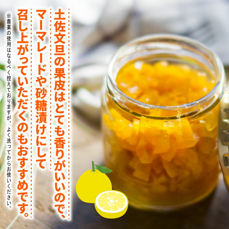 【ふるさと納税】 愛媛みかん 土佐文旦 4kg ワールドファーマーズ 先行予約 わけあり 訳あり品 ぶんたん 文旦 分担 果物 くだもの フルーツ 柑橘 蜜柑 みかん mikan ミカン 愛媛みかん 愛媛ミカン 愛媛県産 産地直送 農家直送 数量限定 国産 愛媛 宇和島 B010-024008 サムネイル3