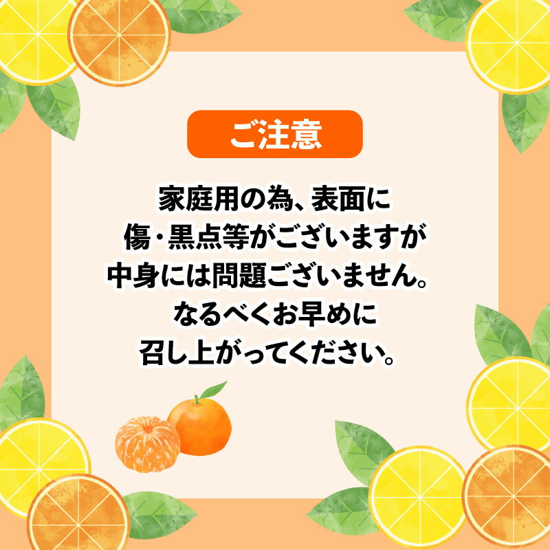 【ふるさと納税】 伊予柑 みかん 7.5kg ワールドファーマーズ 先行予約 伊予 いよかん 蜜柑 mikan 愛媛みかん 愛媛蜜柑 愛媛ミカン 柑橘 果物 くだもの ミカン 宇和島みかん フルーツ お取り寄せ 美味しい 数量限定 産地直送 農家直送 数量限定 国産 愛媛 宇和島 B012-024006 サムネイル2