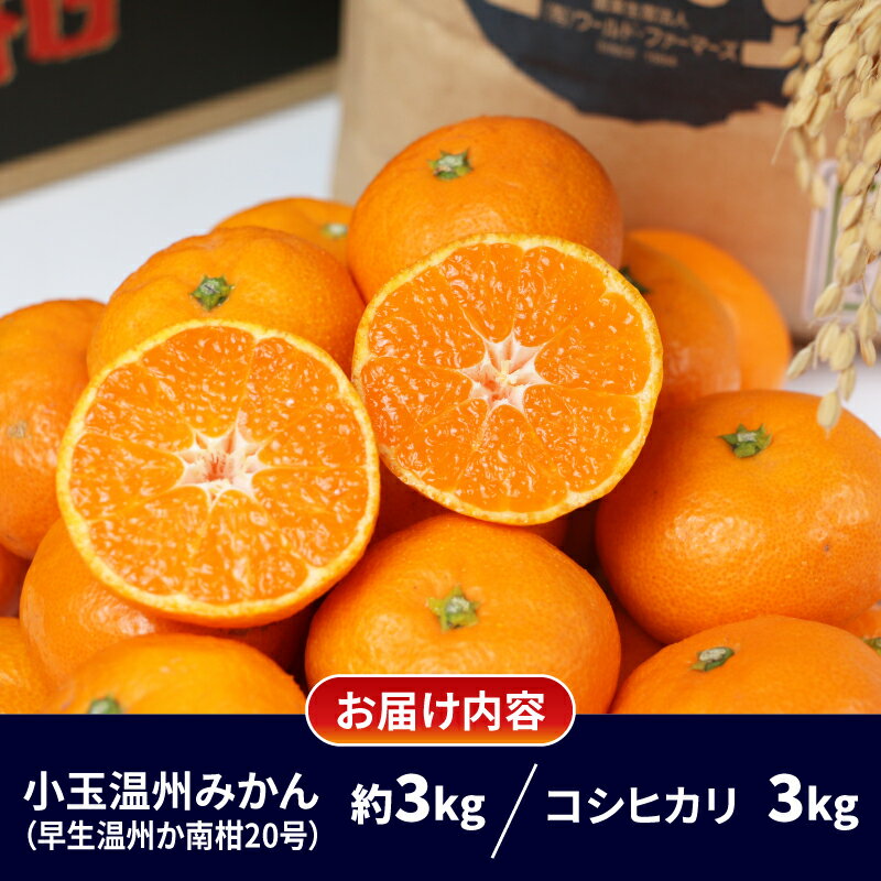 【ふるさと納税】 米 セット みかん 3kg 特別栽培米 コシヒカリ 伊達米 3kg 詰め合わせ ワールドファーマーズ 温州みかん ミカン 蜜柑 mikan 愛媛みかん 愛媛蜜柑 柑橘 果物 くだもの フルーツ 柑橘 お米 こめ 農家直送 産地直送 数量限定 国産 愛媛 宇和島 B012-024003 サムネイル2
