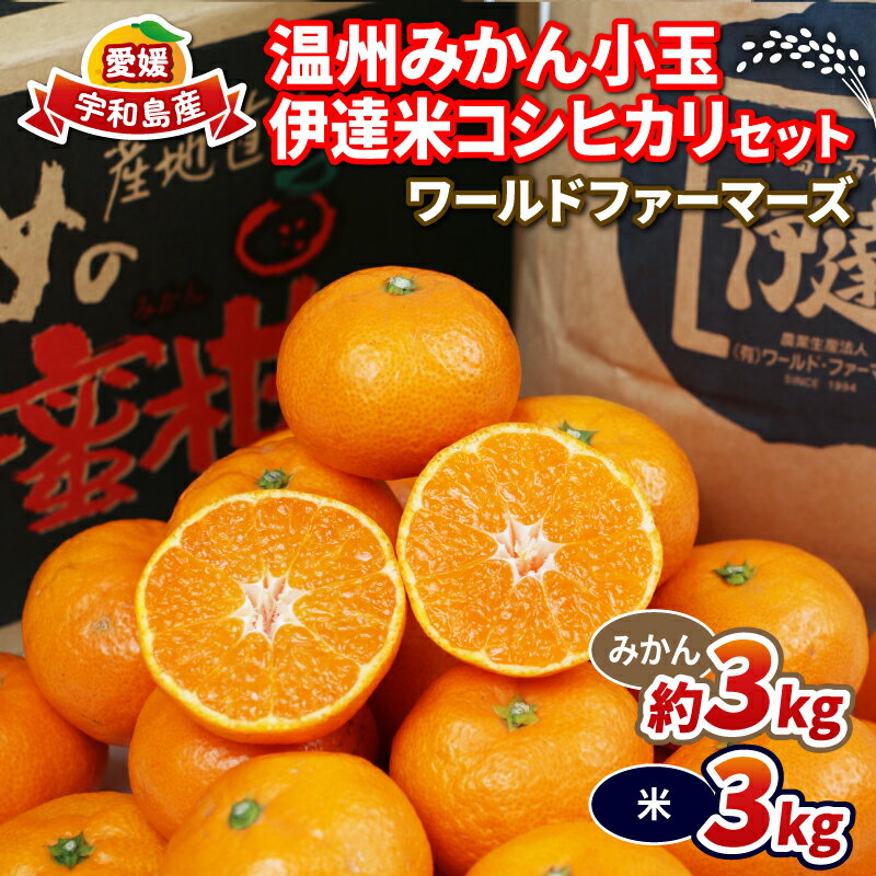 米 セット みかん 3kg 特別栽培米 コシヒカリ 伊達米 3kg 詰め合わせ ワールドファーマーズ 温州みかん ミカン 蜜柑 mikan 愛媛みかん 愛媛蜜柑 柑橘 果物 くだもの フルーツ 柑橘 お米 こめ 農家直送 産地直送 数量限定 国産 愛媛 宇和島 B012-024003
