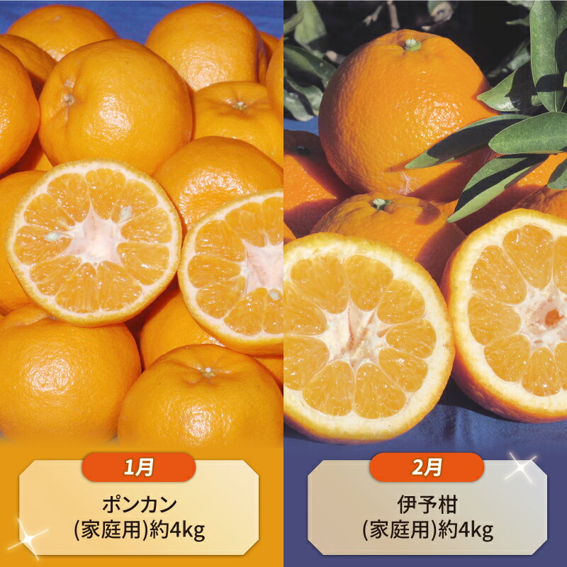 【ふるさと納税】 みかん定期便 柑橘定期便 10ヶ月 定期便 ワールドファーマーズ 10回定期便 ポンカン 伊予柑 不知火 甘夏 河内晩柑 ジュース 米 みかん 愛媛みかん 愛媛ミカン 蜜柑 mikan 温州みかん 農家直送 産地直送 数量限定 国産 愛媛 愛媛県産 宇和島 B100-024014 サムネイル2