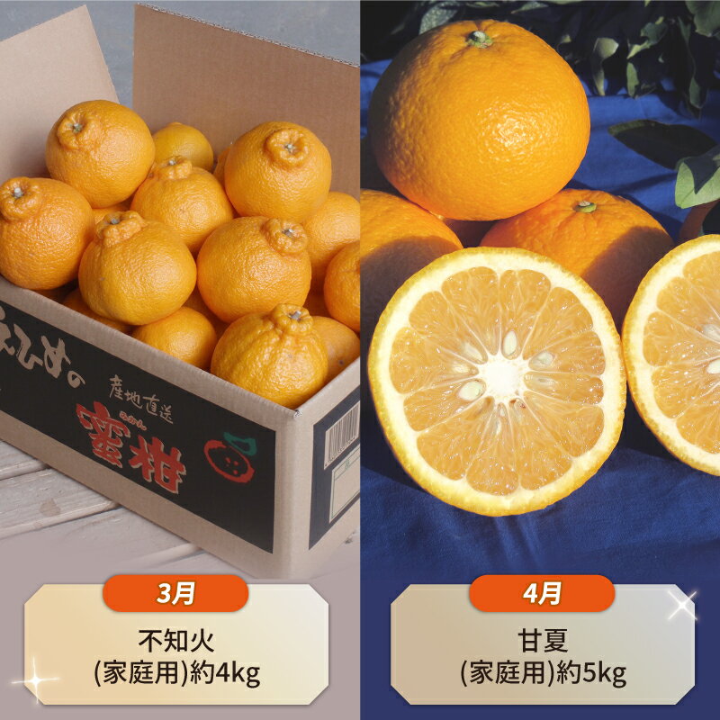 【ふるさと納税】 みかん定期便 柑橘定期便 10ヶ月 定期便 ワールドファーマーズ 10回定期便 ポンカン 伊予柑 不知火 甘夏 河内晩柑 ジュース 米 みかん 愛媛みかん 愛媛ミカン 蜜柑 mikan 温州みかん 農家直送 産地直送 数量限定 国産 愛媛 愛媛県産 宇和島 B100-024014 サムネイル3