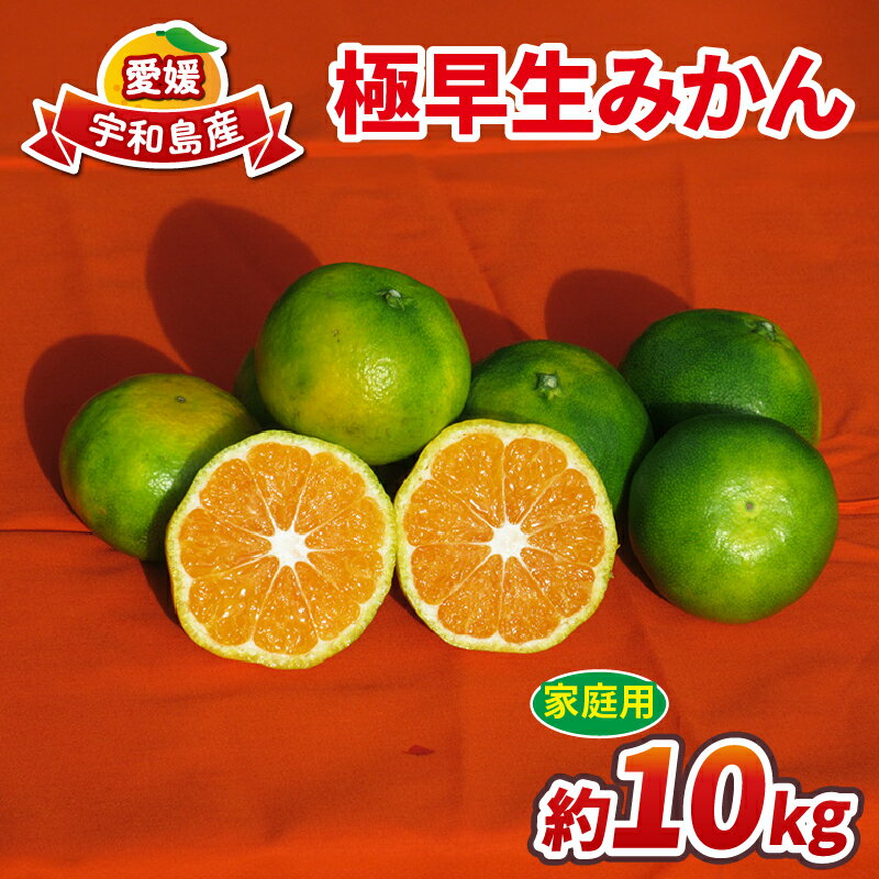 極早生みかん 蜜柑 家庭用 10kg 先行予約 ワールドファーマーズ 温州みかん 温州 極早生 みかん 緑みかん 愛媛みかん 愛媛ミカン 愛媛県産 みかん10kg 果物 フルーツ 柑橘 mikan 数量限定 産地直送 農家直送 産直 お取り寄せ 国産 愛媛 宇和島 B010-024015