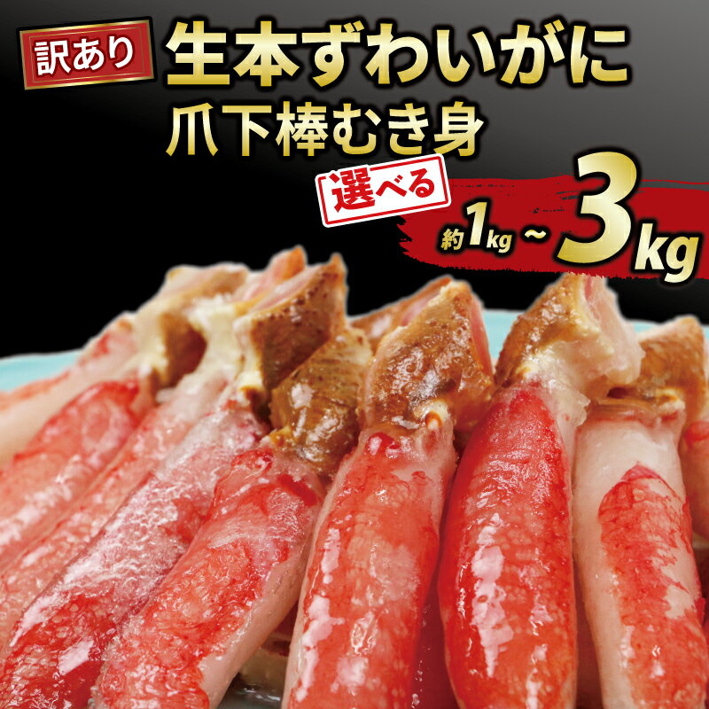訳あり カニ 蟹 ズワイガニ 爪下 棒 むき身 約1~3kg 生本ずわいがに 選べる 内容量 本ズワイガニ ニューバーク kani 冷凍 わけあり 訳あり品 ずわいがに 訳アリ ずわい蟹 ズワイ蟹 ずわいがに 生蟹 ポーション 鍋 カニ鍋 人気のカニ 送料無料