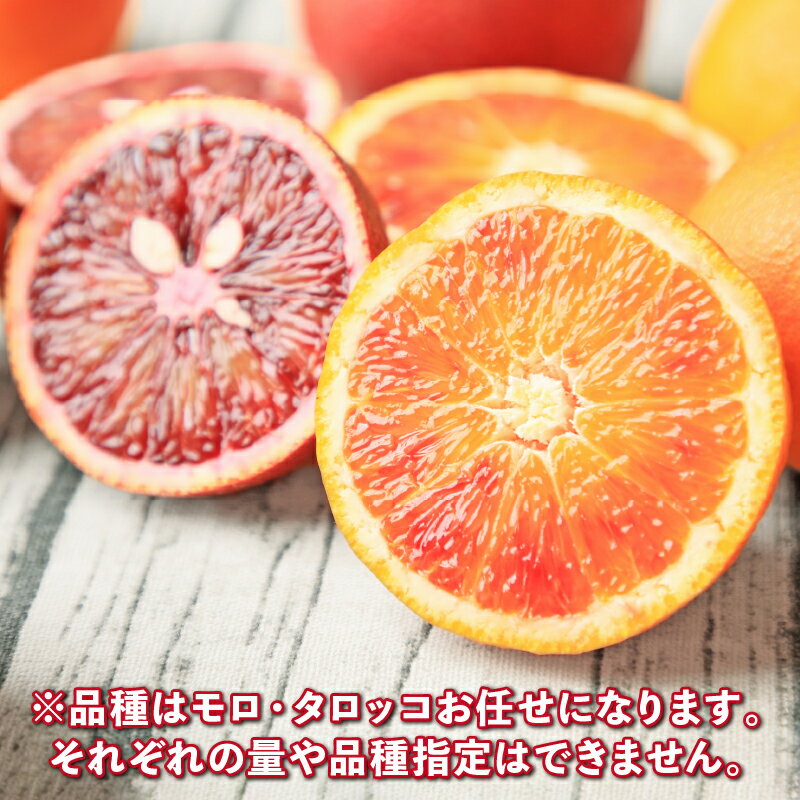 【ふるさと納税】 ブラッドオレンジ モロ タロッコ 品種 お任せ 2kg 家庭用 フレッシュつちやま ブラッド オレンジ 果物 くだもの フルーツ 柑橘 みかん 愛媛みかん 愛媛蜜柑 愛媛ミカン 愛媛県産 吉田みかん みかん 蜜柑 産地直送 数量限定 国産 愛媛 宇和島 B010-096010 サムネイル2