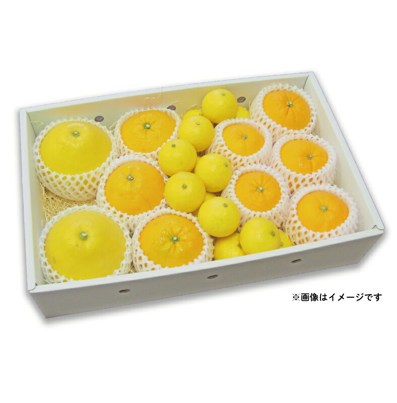 【ふるさと納税】 みかん 詰合せ 晩柑 3.5kg 贈答用 特選 吉田みかん フレッシュつちやま 秀品 贈答品 ギフト プレゼント 高級 ネット掛け 柑橘詰め合わせ みかん詰合せ セット 蜜柑 ギフト 果物 くだもの フルーツ 産地直送 数量限定 国産 愛媛 宇和島 B018-096005 サムネイル2