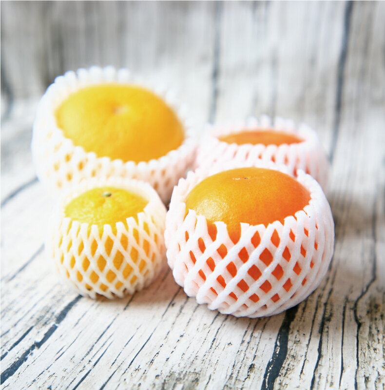 【ふるさと納税】 みかん 詰合せ 晩柑 3.5kg 贈答用 特選 吉田みかん フレッシュつちやま 秀品 贈答品 ギフト プレゼント 高級 ネット掛け 柑橘詰め合わせ みかん詰合せ セット 蜜柑 ギフト 果物 くだもの フルーツ 産地直送 数量限定 国産 愛媛 宇和島 B018-096005 サムネイル3