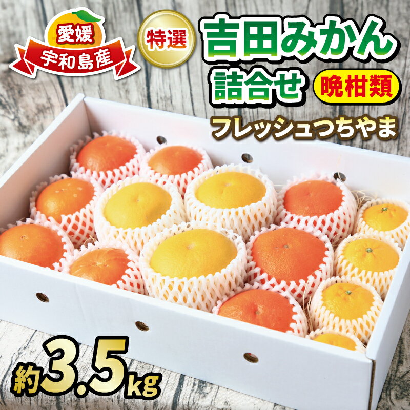 みかん 詰合せ 晩柑 3.5kg 贈答用 特選 吉田みかん フレッシュつちやま 秀品 贈答品 ギフト プレゼント 高級 ネット掛け 柑橘詰め合わせ みかん詰合せ セット 蜜柑 ギフト 果物 くだもの フルーツ 産地直送 数量限定 国産 愛媛 宇和島 B018-096005