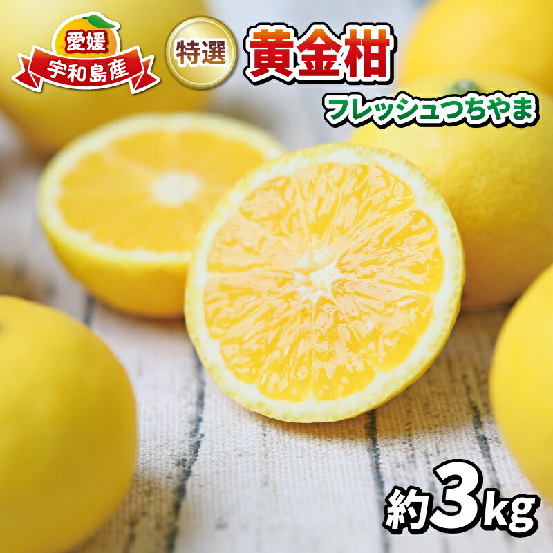 高級柑橘 黄金柑 3kg 先行予約 フレッシュつちやま 幻のみかん 希少 おうごんかん 贈答品 贈答用 ギフト プレゼント 高級 果物 フルーツ 柑橘 みかん 蜜柑 愛媛ミカン 愛媛蜜柑 愛媛みかん 農家直送 産地直送 数量限定 国産 愛媛 宇和島 B015-096006