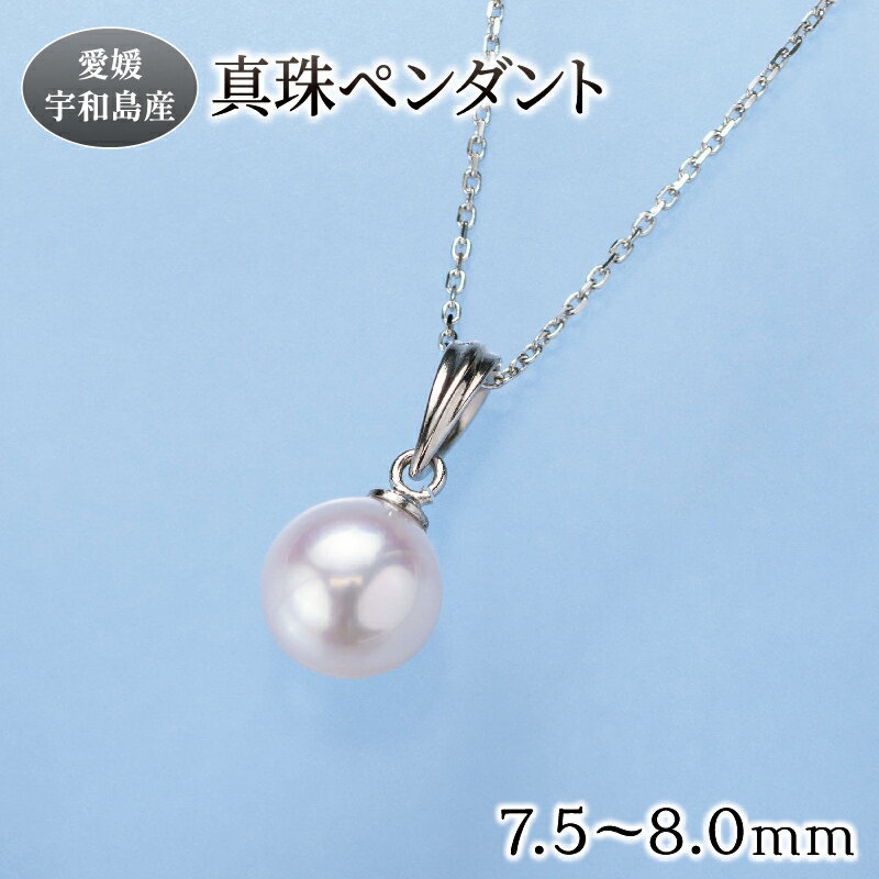 真珠 ペンダント 7.5-8.0mm 真珠会館 ネックレス パール 一粒 アクセサリー アコヤ真珠 ファッション フォーマル カジュアル 冠婚葬祭 慶事 結婚式 卒業式 入学式 お祝い ギフト 贈り物 人気 特産品 国産 愛媛 宇和島 A066-001003