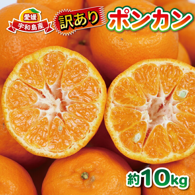 ポンカン 訳あり ぽんかん 10kg 大田農園 みかん 先行予約 果物 フルーツ 柑橘 みかん ミカン mikan 愛媛みかん 愛媛ミカン 愛媛密柑 密柑 ジューシー 爽やか 果物 くだもの デザート 数量限定 産地直送 農家直送 国産 愛媛 宇和島 B012-121001