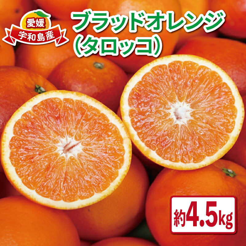 ブラッドオレンジ タロッコ 4.5kg 愛媛みかん つばさ農園 オレンジ 果物 くだもの フルーツ ブラッド オレンジ 早生 柑橘 みかん 赤 愛媛蜜柑 愛媛ミカン みかん ミカン 蜜柑 mikan 予約 農家直送 産地直送 数量限定 国産 愛媛 宇和島 B010-048003