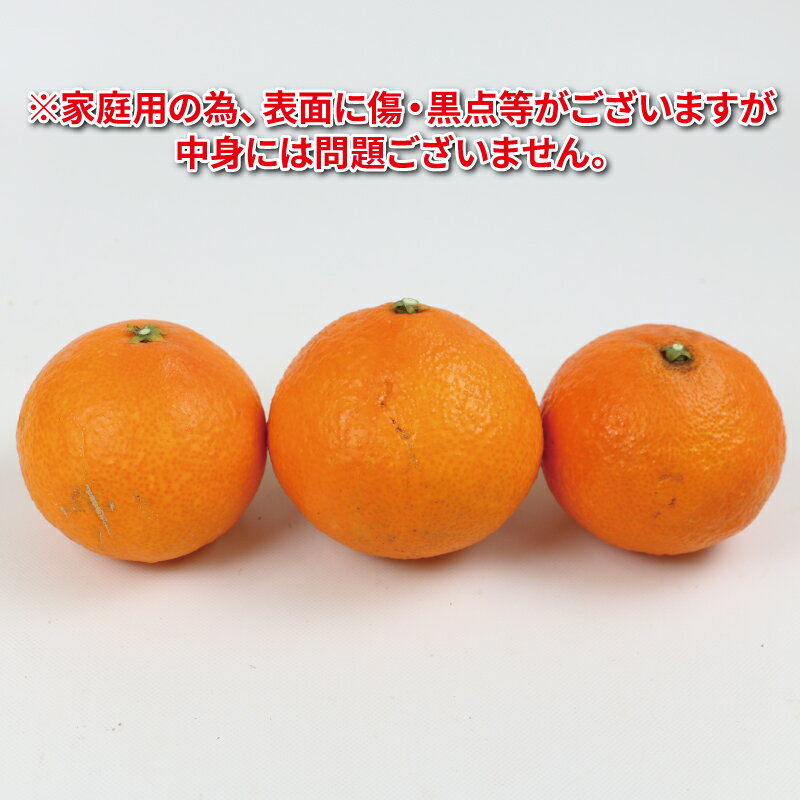 【ふるさと納税】 愛果28号 2.5kg 家庭用 つばさ農園 先行予約 愛媛みかん 愛媛蜜柑 愛媛県産 果物 フルーツ くだもの 柑橘 みかん mikan 高級 ブランド ゼリー プルプル 甘い 国産 限定 品種 あいか 農家直送 産地直送 数量限定 国産 愛媛 宇和島 B010-048010 サムネイル2