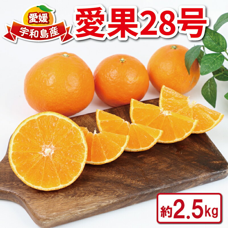 愛果28号 2.5kg 家庭用 つばさ農園 先行予約 愛媛みかん 愛媛蜜柑 愛媛県産 果物 フルーツ くだもの 柑橘 みかん mikan 高級 ブランド ゼリー プルプル 甘い 国産 限定 品種 あいか 農家直送 産地直送 数量限定 国産 愛媛 宇和島 B010-048010