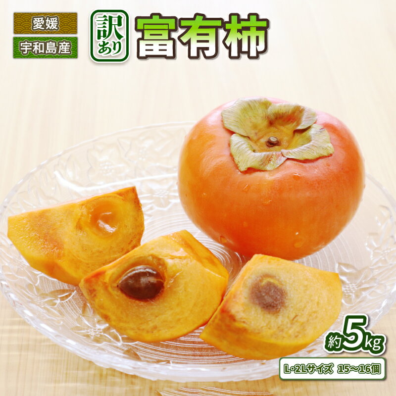 訳あり 柿 富有柿 15～16個 5kg L 2L ふゆう柿 末光農園 先行予約 不揃い kaki かき ふゆうがき カキ フルーツ 訳アリ 訳あり品 訳有り わけあり 果物 くだもの 産地直送 農家直送 数量限定 国産 愛媛 愛媛県産 宇和島 F012-118002