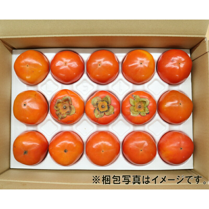 【ふるさと納税】 訳あり 柿 富有柿 15～16個 5kg L 2L ふゆう柿 末光農園 先行予約 不揃い kaki かき ふゆうがき カキ フルーツ 訳アリ 訳あり品 訳有り わけあり 果物 くだもの 産地直送 農家直送 数量限定 国産 愛媛 愛媛県産 宇和島 F012-118002 サムネイル3