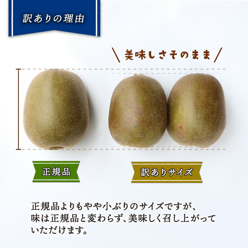 【ふるさと納税】 先行予約 訳あり キウイ 紅妃 レッドキウイ 2kg Shirai.agrifarm 訳アリ 訳あり品 訳有り わけあり サイズ 不揃い キウイフルーツ 甘い 高級 希少 果物 フルーツ デザート スイーツ 農家直送 産地直送 数量限定 国産 愛媛 宇和島 F010-115002 - 画像2