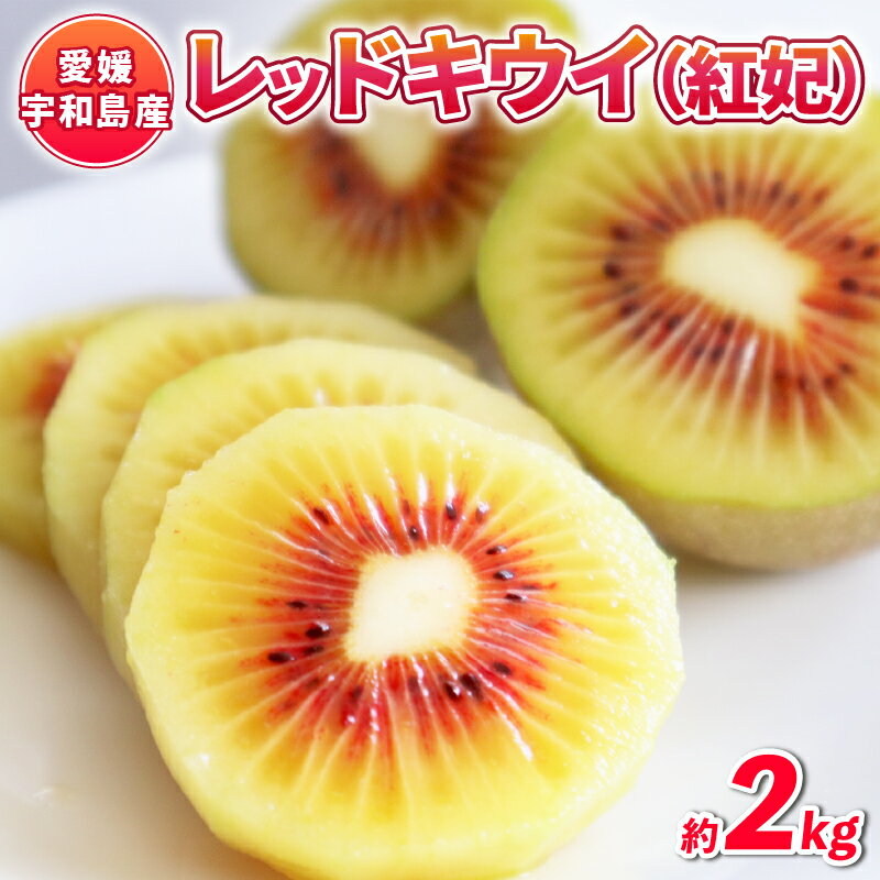 レッドキウイ (紅妃) 2kg 先行予約 果物 Shirai.agrifarm キウイ キウイフルーツ 甘い 高級 希少 果物 フルーツ デザート スイーツ 農家直送 産地直送 数量限定 国産 愛媛 宇和島 F012-115001