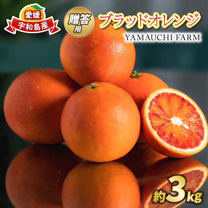 先行予約 贈答用 おまかせ ブラッドオレンジ モロ タロッコ 3kg YAMAUCHI FARM 愛媛みかん 愛媛蜜柑 愛媛ミカン オレンジ 玉津 みかん mikan 果物 フルーツ 柑橘 濃厚 甘い 甘味 蜜柑 産地直送 農家直送 数量限定 国産 愛媛 宇和島 B010-084004