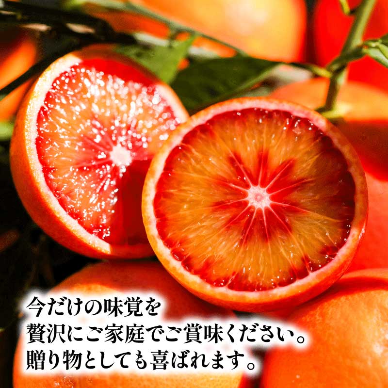 【ふるさと納税】 先行予約 贈答用 おまかせ ブラッドオレンジ モロ タロッコ 3kg YAMAUCHI FARM 愛媛みかん 愛媛蜜柑 愛媛ミカン オレンジ 玉津 みかん mikan 果物 フルーツ 柑橘 濃厚 甘い 甘味 蜜柑 産地直送 農家直送 数量限定 国産 愛媛 宇和島 B010-084004 サムネイル2
