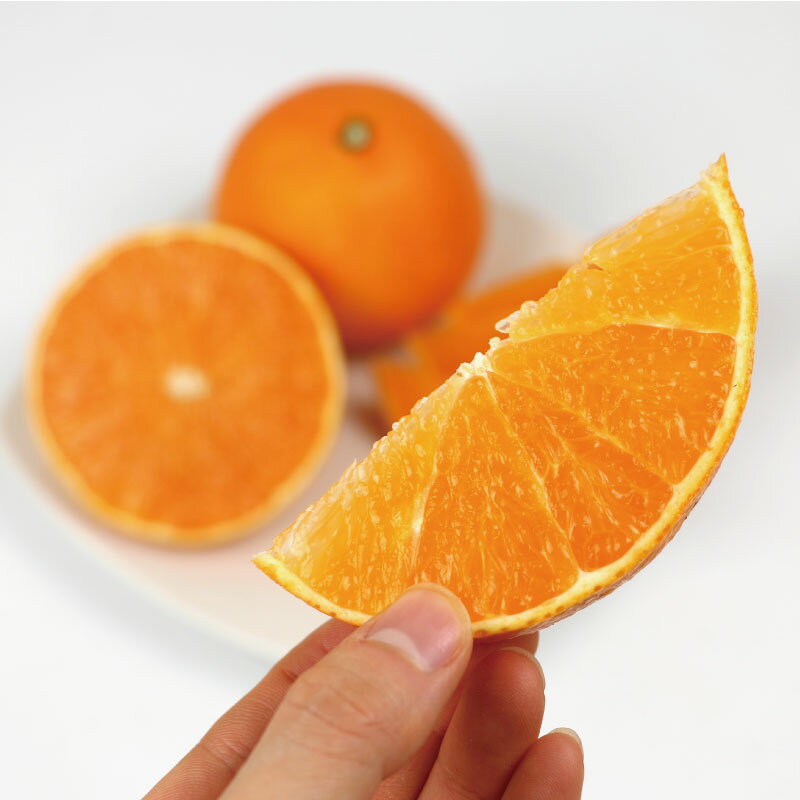 【ふるさと納税】 高級みかん 愛果28号 3kg 家庭用 姫柑露 南四国ファーム mikan 高級 ブランド 限定 品種 甘い ゼリー プルプル 果物 くだもの フルーツ 柑橘 蜜柑 みかん ミカン 高級柑橘 愛媛みかん お取り寄せ 国産 愛媛 宇和島 産地直送 農家直送 数量限定 B013-035011 サムネイル3