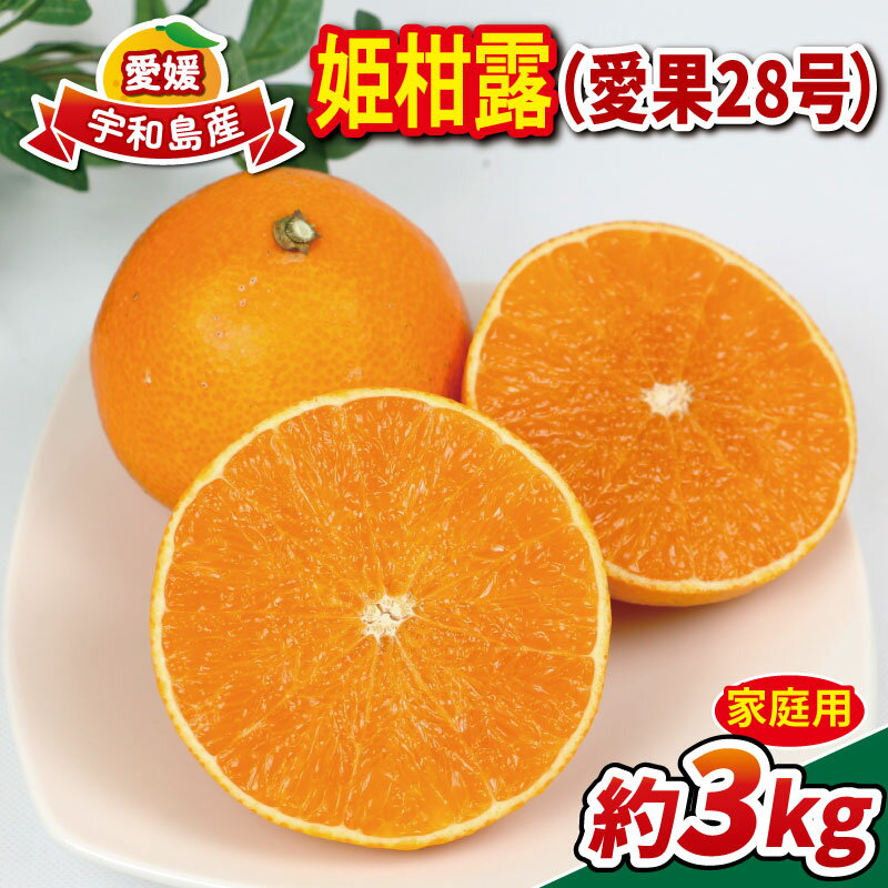 高級みかん 愛果28号 3kg 家庭用 姫柑露 南四国ファーム mikan 高級 ブランド 限定 品種 甘い ゼリー プルプル 果物 くだもの フルーツ 柑橘 蜜柑 みかん ミカン 高級柑橘 愛媛みかん お取り寄せ 国産 愛媛 宇和島 産地直送 農家直送 数量限定 B013-035011