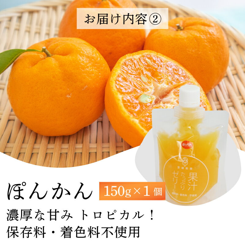 【ふるさと納税】 ゼリー 果汁ゼリー 宇和島産 果実 を 使った 果汁 たっぷりゼリー 150g ×8個 南四国ファーム みかん 蜜柑 mikan ぽんかん 不知火 しらぬい 河内晩柑 ブルーベリー 果物ゼリー ジュレ スイーツ 柑橘 果物 フルーツ 産地直送 国産 愛媛 宇和島 J010-035012 - 画像3