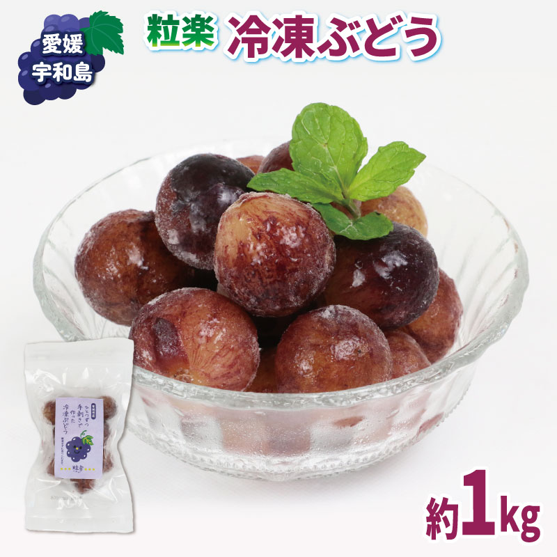 冷凍 ぶどう 1kg (100g 10袋) 粒楽 南四国ファーム 冷凍フルーツ 冷凍果実 シャーベット 冷凍食品 スムージー ジャム アイス スイーツ デザート ブドウ 葡萄 フローズン 果物 フルーツ 産地直送 数量限定 国産 愛媛 宇和島 J010-035015