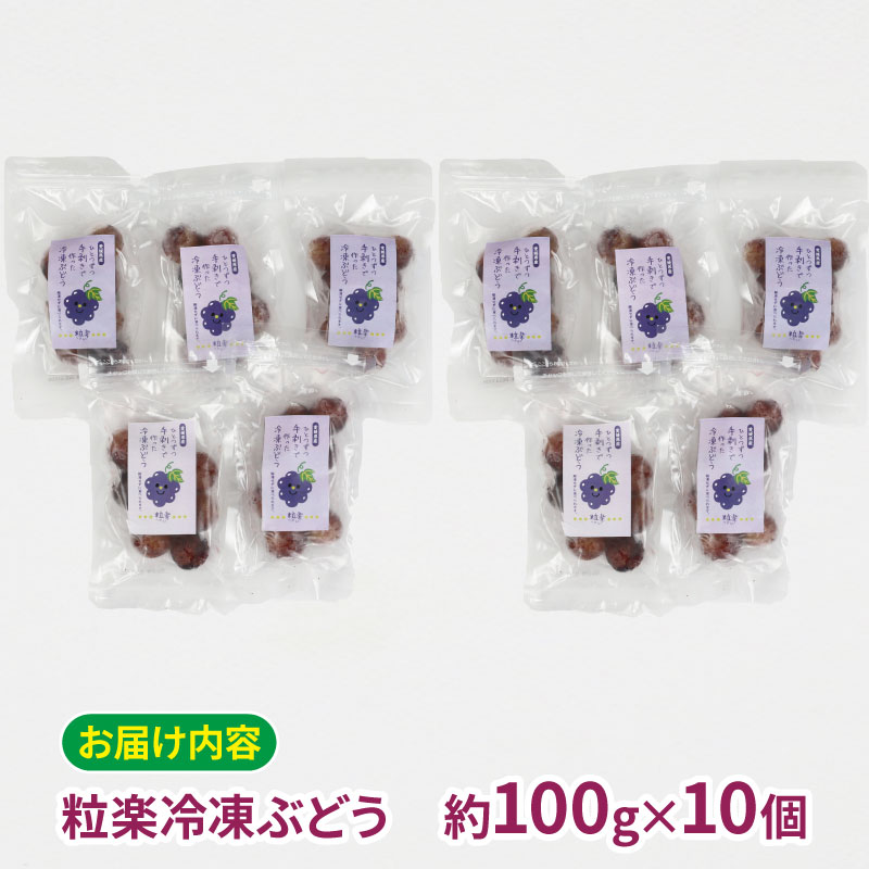 【ふるさと納税】 冷凍 ぶどう 1kg (100g 10袋) 粒楽 南四国ファーム 冷凍フルーツ 冷凍果実 シャーベット 冷凍食品 スムージー ジャム アイス スイーツ デザート ブドウ 葡萄 フローズン 果物 フルーツ 産地直送 数量限定 国産 愛媛 宇和島 J010-035015 サムネイル2