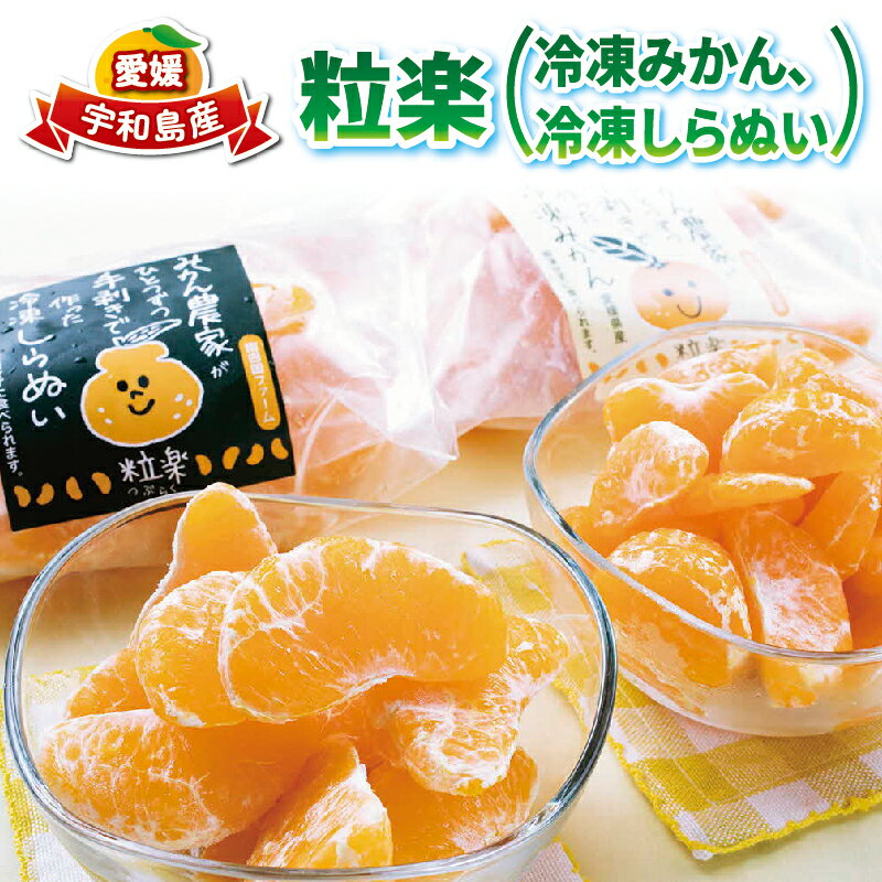 冷凍 みかん 2袋 冷凍 しらぬい 1袋 各500g 粒楽 皮なし 冷凍みかん 冷凍フルーツ 南四国ファーム 蜜柑 不知火 デザート スイーツ 天然 シャーベット アイス 果物 フルーツ 柑橘 冷凍 加工品 産地直送 国産 愛媛 宇和島 J012-035009