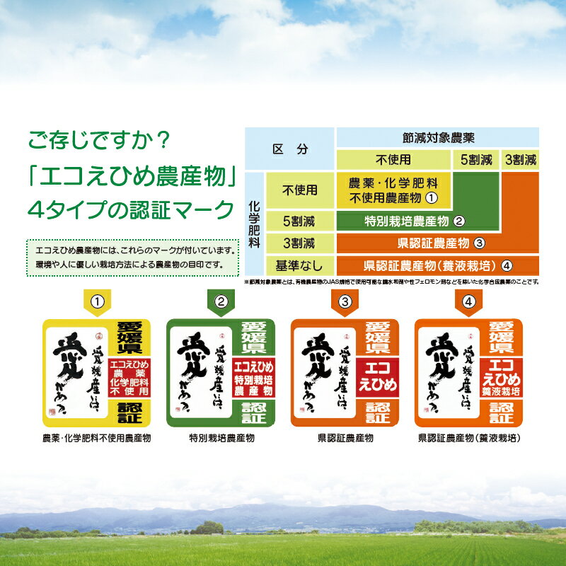 【ふるさと納税】 特別栽培米 コシヒカリ 三間米 令和7年度産 計8kg 農業組合法人はざめ 米 ご飯 ごはん お弁当 弁当 おにぎり ブランド米 ※ こめ おこめ ふっくら ツヤツヤ 甘い 日本のお米 御米 精米 人気返礼品 【送料無料】 国産 愛媛 宇和島 G025-015001 - 画像3