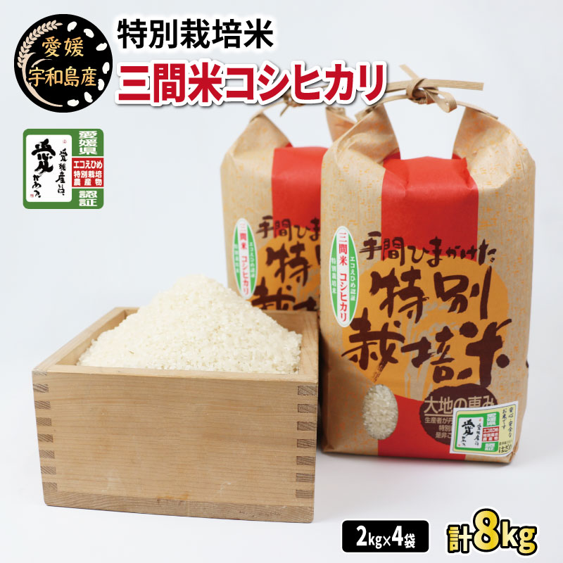 特別栽培米 コシヒカリ 三間米 令和7年度産 計8kg 農業組合法人はざめ 米 ご飯 ごはん お弁当 弁当 おにぎり ブランド米 ※ こめ おこめ ふっくら ツヤツヤ 甘い 日本のお米 御米 精米 人気返礼品 【送料無料】 国産 愛媛 宇和島 G025-015001