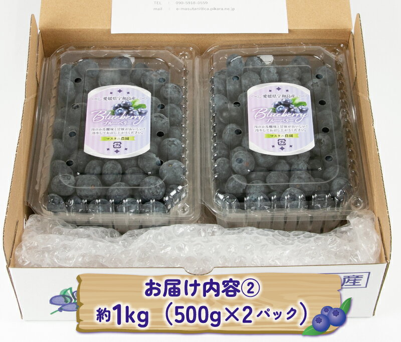 【ふるさと納税】 ブルーベリー 大粒 選べる 容量 500g ( 100g × 5パック ) ~ 1kg ( 500g × 2パック ) マスタニ農園 ハウス栽培 生ブルーベリー 小分け パック 生 ベリー 果物 フルーツ デザート スイーツ ポリフェノール 冷蔵 農家直送 産地直送 数量限定 国産 サムネイル3