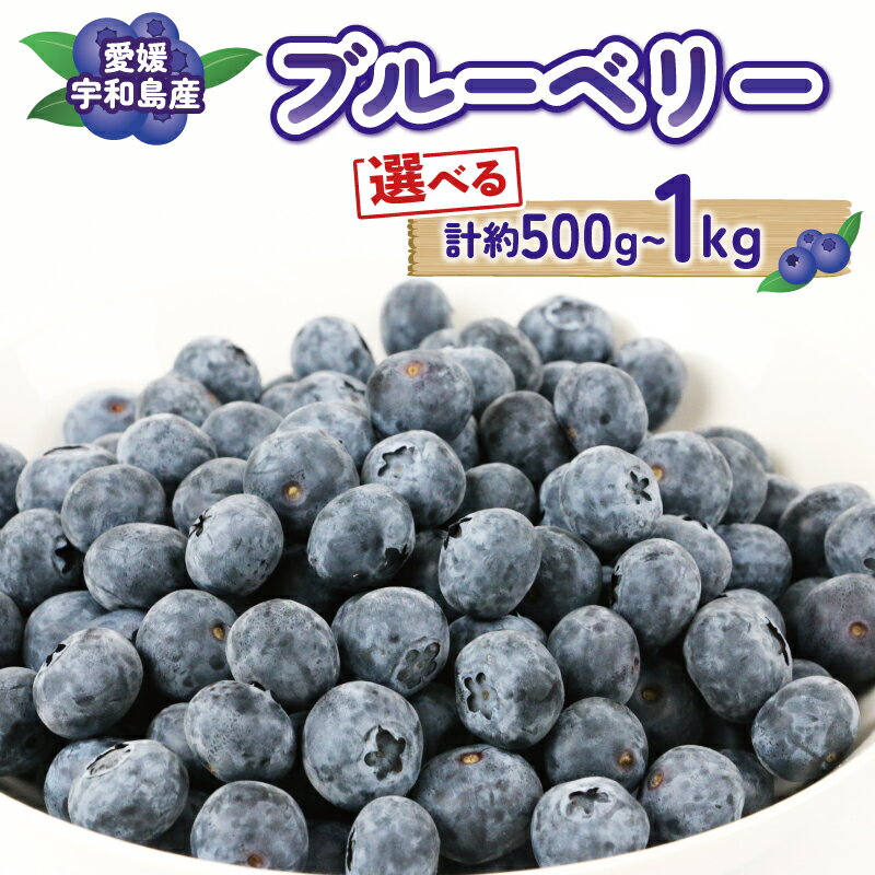ブルーベリー 大粒 選べる 容量 500g ( 100g × 5パック ) ~ 1kg ( 500g × 2パック ) マスタニ農園 ハウス栽培 生ブルーベリー 小分け パック 生 ベリー 果物 フルーツ デザート スイーツ ポリフェノール 冷蔵 農家直送 産地直送 数量限定 国産