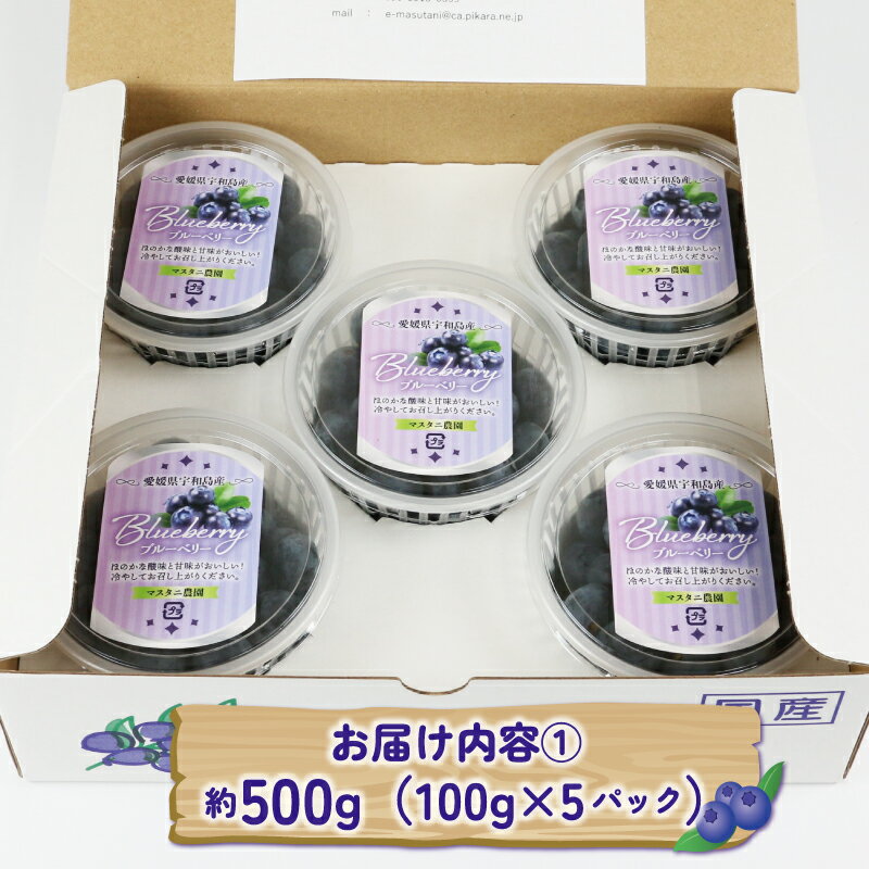 【ふるさと納税】 ブルーベリー 大粒 選べる 容量 500g ( 100g × 5パック ) ~ 1kg ( 500g × 2パック ) マスタニ農園 ハウス栽培 生ブルーベリー 小分け パック 生 ベリー 果物 フルーツ デザート スイーツ ポリフェノール 冷蔵 農家直送 産地直送 数量限定 国産 サムネイル2