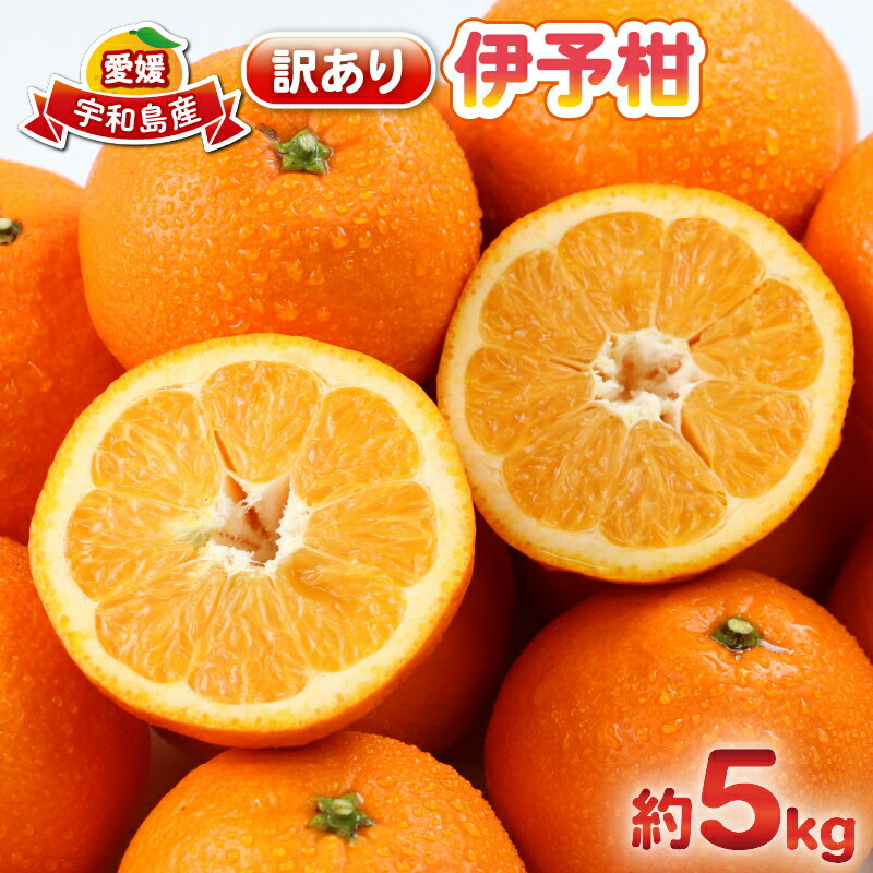 愛媛みかん 訳あり 伊予柑 5kg 杉本屋 わけあり 先行予約 予約受付 いよかん イヨカン 蜜柑 mikan 愛媛みかん 愛媛蜜柑 愛媛ミカン 柑橘 果物 くだもの 愛媛県産 ミカン 宇和島みかん フルーツ 数量限定 産地直送 数量限定 国産 愛媛 宇和島 B010-143006