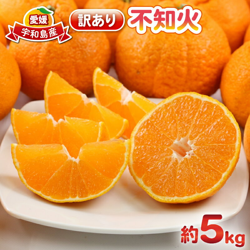 みかん 不知火 しらぬい 5kg 訳あり 杉本屋 先行予約 果物 くだもの 訳アリ わけあり 訳あり品 フルーツ 柑橘 蜜柑 不知火みかん mikan ミカン ビタミン 甘い 人気返礼品 送料無料 愛媛みかん 愛媛ミカン 産地直送 数量限定 国産 愛媛 宇和島 B010-143009